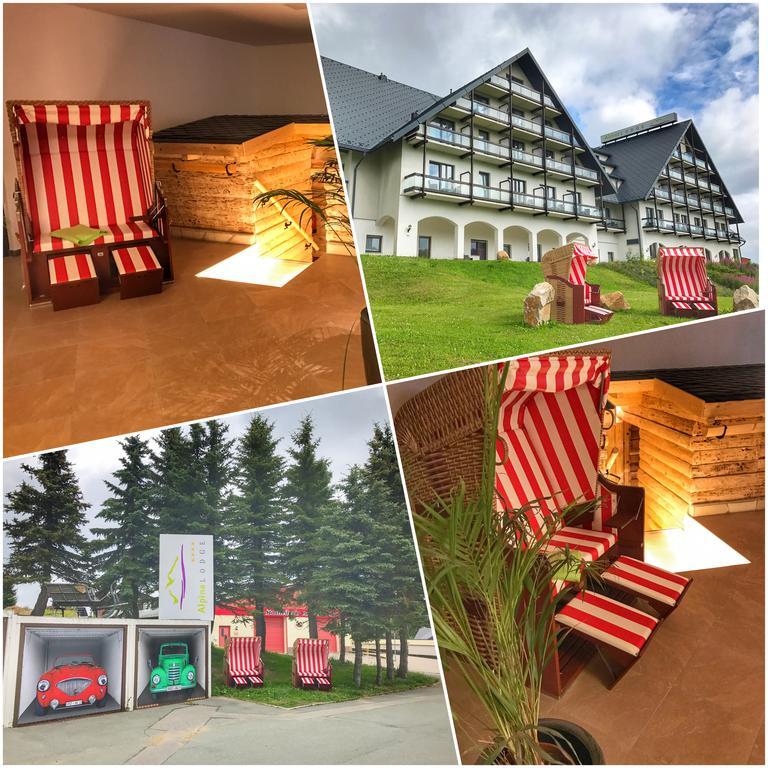 Alpina Lodge Hotel Oberwiesenthal Extérieur photo